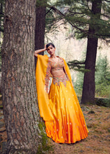 Load image into Gallery viewer, Navajo Satin Hand Woven Lehenga Set