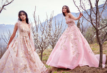 Load image into Gallery viewer, Primrose French Organza Bridal Gown