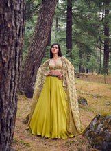 Load image into Gallery viewer, Sweet Meadow Chiffon Lehenga Set