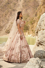 Load image into Gallery viewer, Sepia Silk Lehenga Set