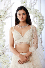 Load image into Gallery viewer, Ivory Pearl Lehenga Set