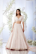 Load image into Gallery viewer, Blush Pearl Lehenga Set