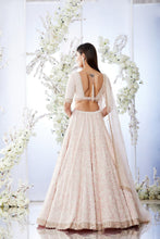 Load image into Gallery viewer, Blush Pearl Lehenga Set