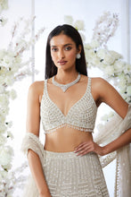 Load image into Gallery viewer, Grey Pearl Lehenga Set