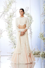 Load image into Gallery viewer, Powder Peach Fish Cut Lehenga Set