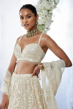 Load image into Gallery viewer, Ivory Sequin Lehenga Set