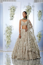 Load image into Gallery viewer, Nude Floral Lehenga Set