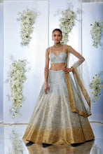 Load image into Gallery viewer, Silver Gold Mesh Lehenga Set