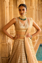 Load image into Gallery viewer, Silver Grey Gota Patti Lehenga Set