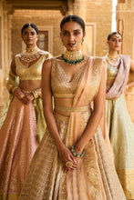 Load image into Gallery viewer, Silver Grey Gota Patti Lehenga Set