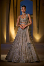 Load image into Gallery viewer, Silver Lehenga Set