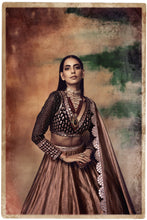 Load image into Gallery viewer, Intricate Hand Emb Blouse With Tissue Lehenga Set