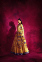 Load image into Gallery viewer, Mughal Boota Dupatta Gold Anarkali Set