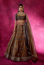 Load image into Gallery viewer, Mughal Boota Tissue Lehenga Set