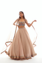 Load image into Gallery viewer, Corset Applique Organza Lehenga