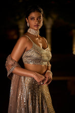 Load image into Gallery viewer, Slate Swarovski Lehenga Set