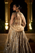 Load image into Gallery viewer, Gold Silver Lehenga Set