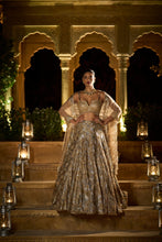 Load image into Gallery viewer, Gold Silver Lehenga Set