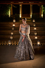 Load image into Gallery viewer, Metallic Grey Lehenga Set