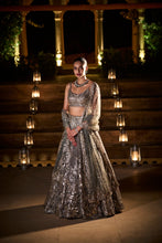 Load image into Gallery viewer, Metallic Grey Lehenga Set
