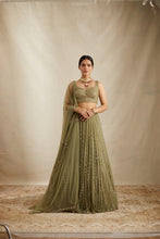 Load image into Gallery viewer, Olive Green Net Crepe Line Embroidered Lehenga Set