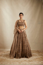 Load image into Gallery viewer, BROWN ORGANZA JAAL WORK LEHENGA SET