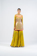 Load image into Gallery viewer, MULTI COLOR MOSS GREEN SHARARA SET