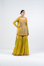 Load image into Gallery viewer, MULTI COLOR MOSS GREEN SHARARA SET