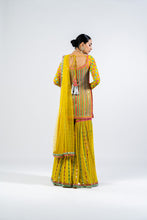 Load image into Gallery viewer, MULTI COLOR MOSS GREEN SHARARA SET