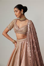 Load image into Gallery viewer, DEEP BEIGE MULTICOLOR METTALIC LEHENGA SET
