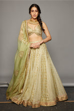 Load image into Gallery viewer, Lehja Lehenga set
