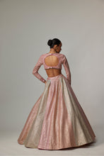 Load image into Gallery viewer, DARK BLUSH MULTICOLOR METALLIC GOTA CROP TOP SKIRT
