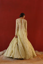 Load image into Gallery viewer, Mint green organza lehenga choli set
