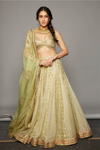 Load image into Gallery viewer, Lehja Lehenga set
