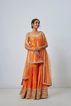 Load image into Gallery viewer, Hrida Sharara Set
