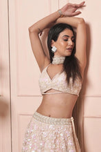 Load image into Gallery viewer, Beige Sequin work lehenga set
