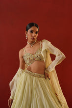 Load image into Gallery viewer, Mint green organza lehenga choli set
