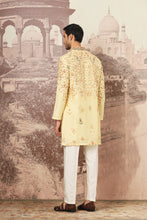 Load image into Gallery viewer, Sunlit Meadow Embroidered Kurta Set
