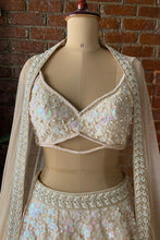 Load image into Gallery viewer, Beige Sequin work lehenga set
