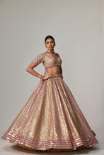 Load image into Gallery viewer, DEEP BEIGE MULTICOLOR METALLIC LEHENGA WITH ELBOW BLOUSE
