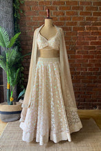 Load image into Gallery viewer, Beige Sequin work lehenga set
