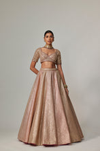 Load image into Gallery viewer, DEEP BEIGE MULTICOLOR METTALIC LEHENGA SET
