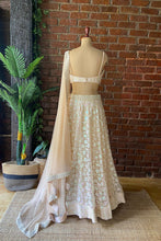 Load image into Gallery viewer, Beige Sequin work lehenga set
