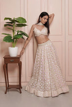 Load image into Gallery viewer, Beige Sequin work lehenga set
