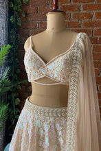 Load image into Gallery viewer, Beige Sequin work lehenga set

