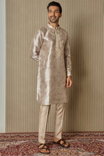 Load image into Gallery viewer, Printed Elegance Jacquard Silk Kurta with Mirror, Sequin, Resham, and Zari Work
