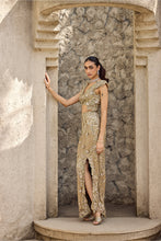 Load image into Gallery viewer, Gilded cut work gown
