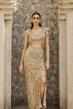 Load image into Gallery viewer, Gilded cut work gown
