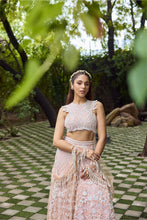 Load image into Gallery viewer, Dream - A soft pink and ivory lehenga
