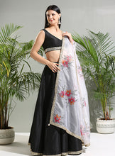 Load image into Gallery viewer, Black raw silk lehenga set with hand painted dupatta
